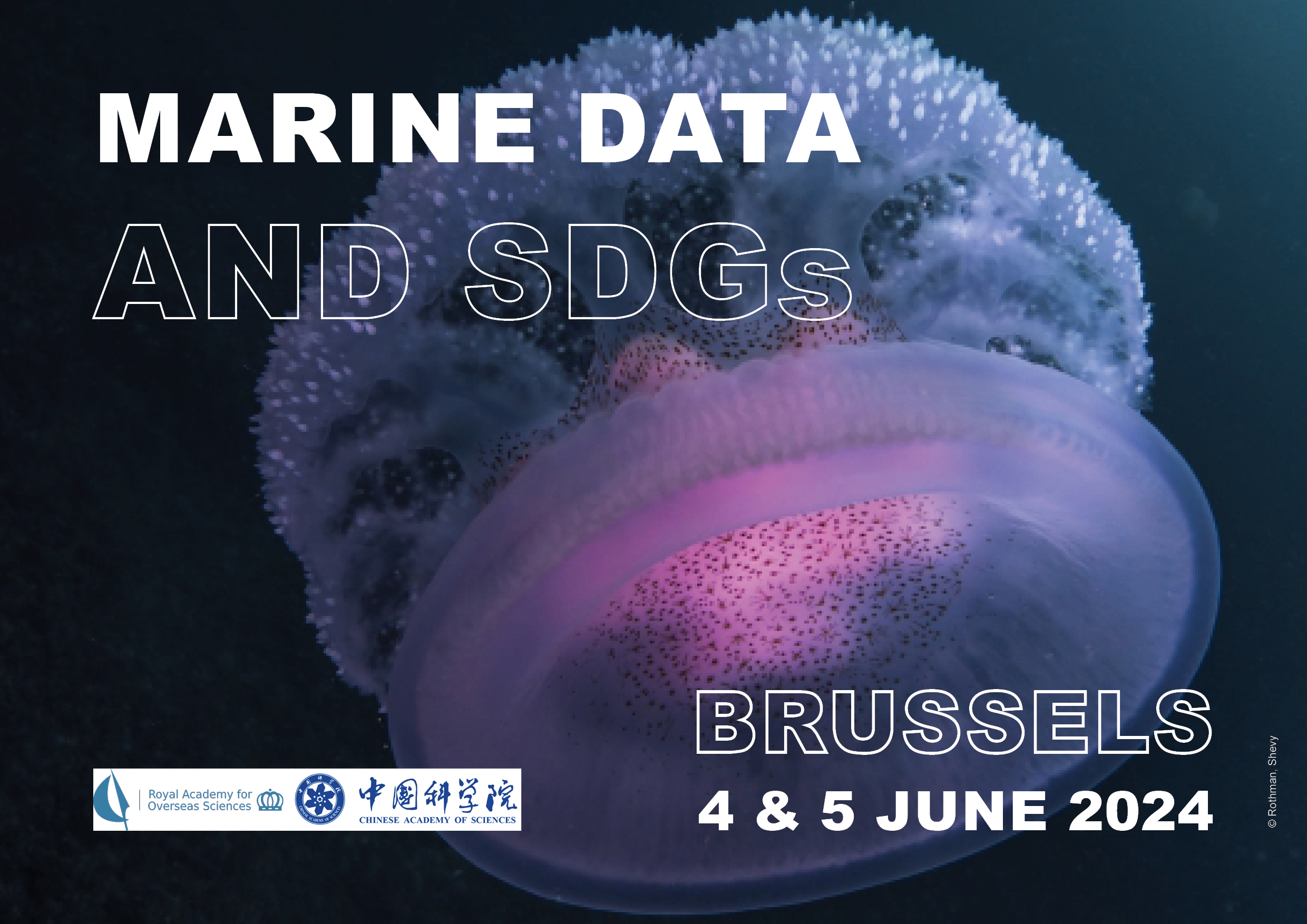 Marine Data and SDGs